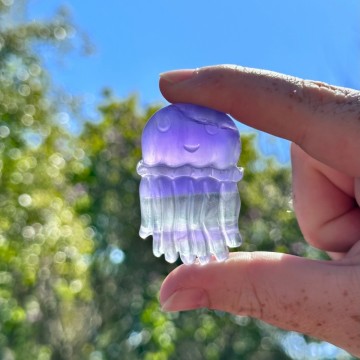 Fluoritt Jellyfish [3]