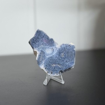 Blå Fossiliert Korall #2