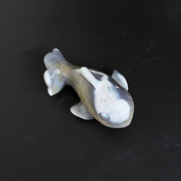 Orca Agat Spekkhogger #1