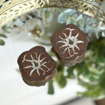 Septarian Nodule Par #2