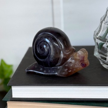 Regnbue Fluoritt Snegle