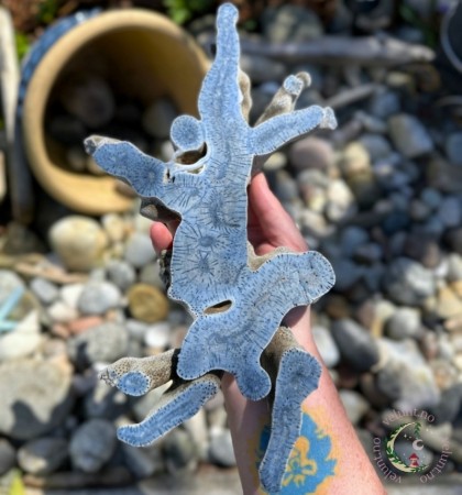 Krystalliserte Koraller